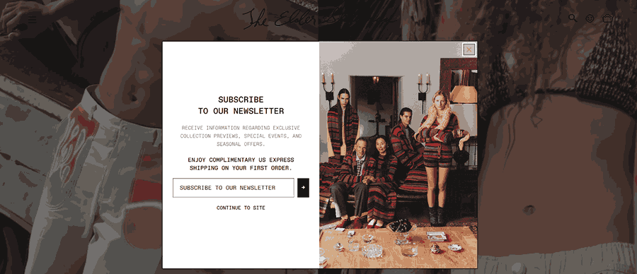 30 Stunning Website Pop-Up Examples From Experts 9 Elder Statesman website screenshot
