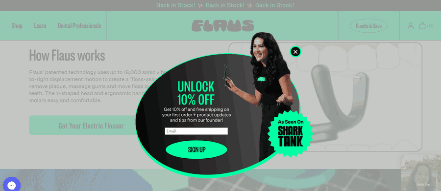 30 Stunning Website Pop-Up Examples From Experts 7 Flaus website screenshot