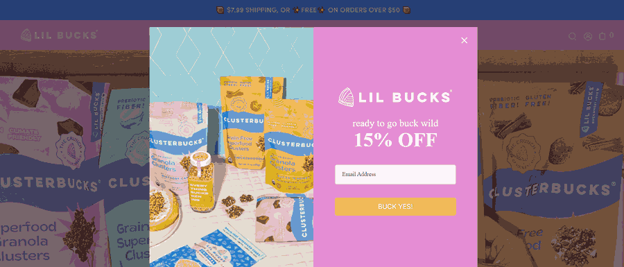 30 Stunning Website Pop-Up Examples From Experts 19 Lil Bucks website screenshot