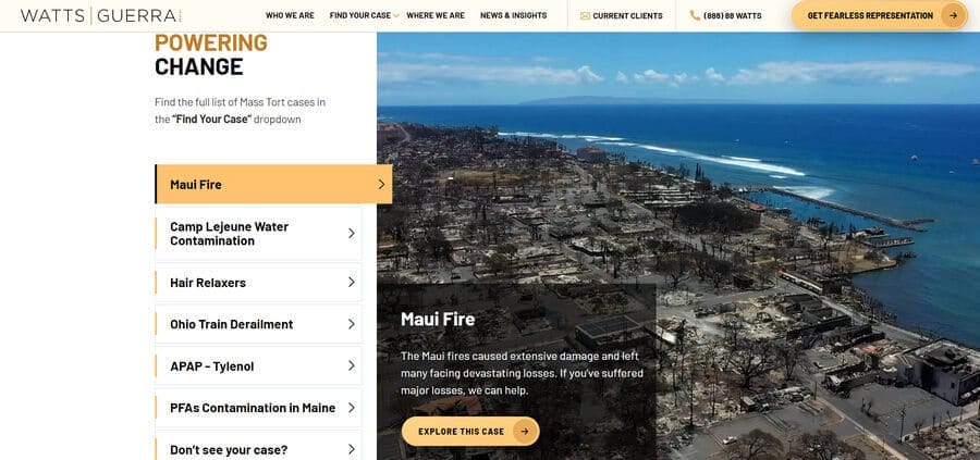 12 Types Of Marketing Collateral (+ Examples) 3 Watts Guerra's case study website section