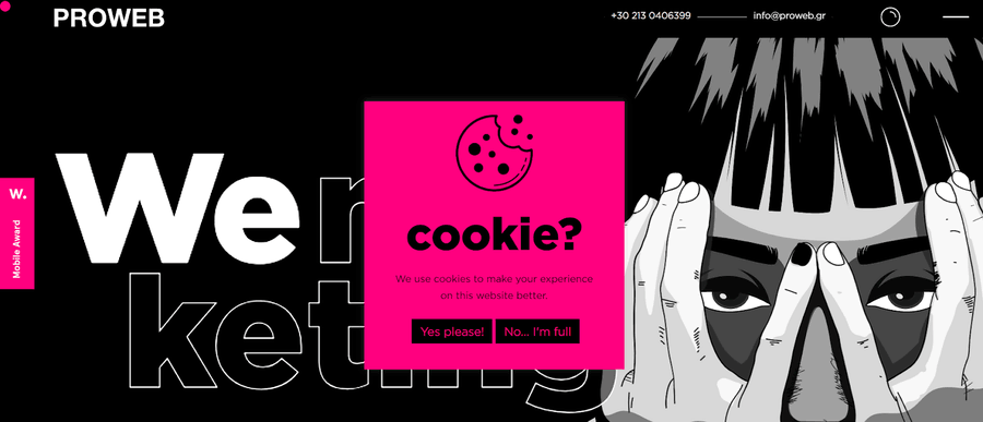 30 Stunning Website Pop-Up Examples From Experts 24 Proweb website screenshot