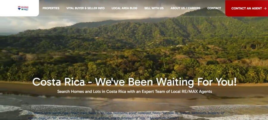 Discover The 30 Best Real Estate Agent Websites In 2025 31 REMAX Costa Rica website screenshot