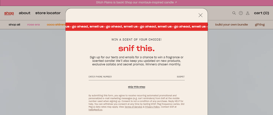 30 Stunning Website Pop-Up Examples From Experts 11 Snif website screenshot
