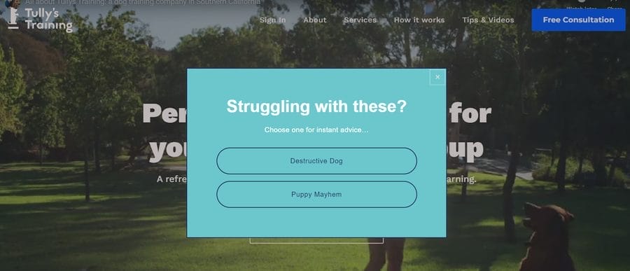 30 Stunning Website Pop-Up Examples From Experts 36 Tully’s Training website screenshot