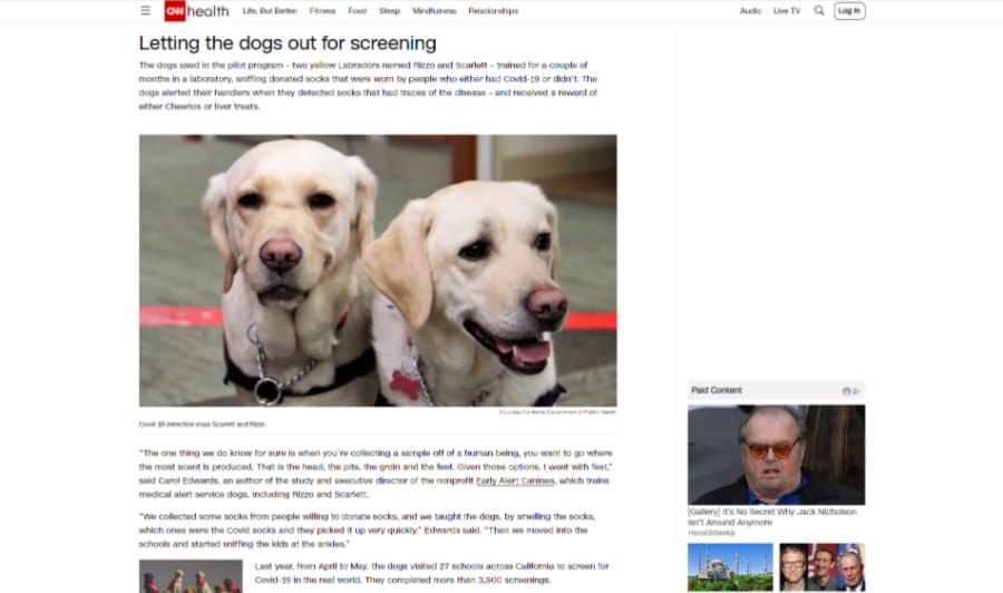 10 Surprising Examples Of Bad Website Design In 2026 6 an example of poorly designed news page on CNN.com
