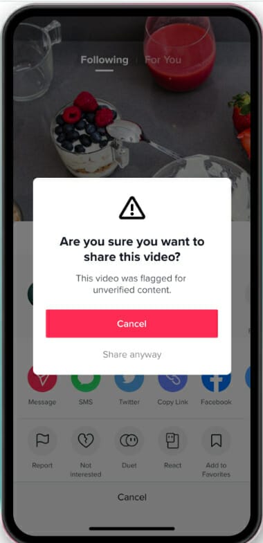 How To Use Behavioral Design In Web Design: Principles, Benefits & Examples 2 A notification warning a TikTok user of flagged content