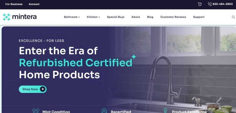 20 Best Font Pairs For Impressive Branding (With Examples) 37 Mintera website screenshot