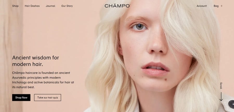 25 Best Homepage Designs For Inspiration In 2025 21 Champo website screenshot