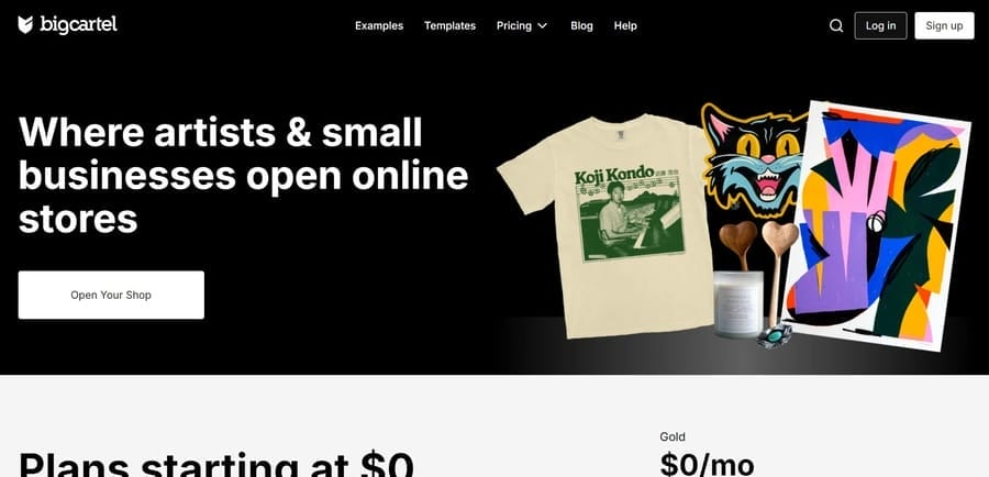 7 Best Shopify Alternatives To Drive Sales In 2025 7 Big Cartel website screenshot