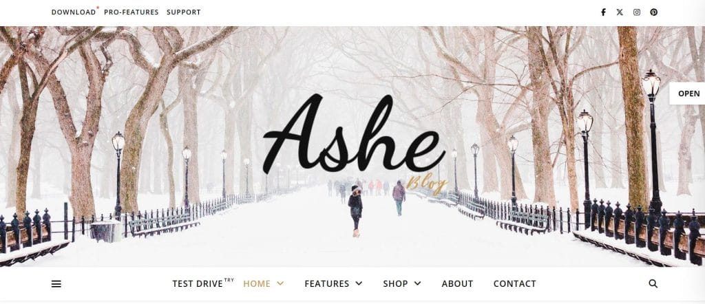 35 Best WordPress Themes In 2026 (Free & Paid) 1 Ashe WordPress theme in action