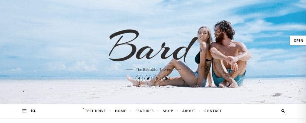 35 Best WordPress Themes In 2026 (Free & Paid) 3 Bard WordPress theme in action