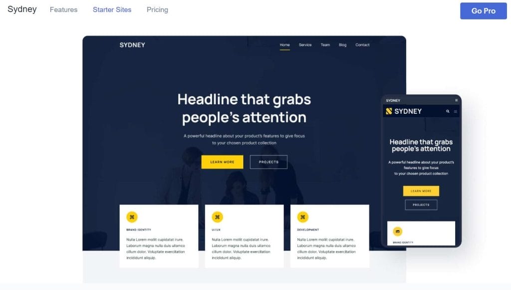 35 Best WordPress Themes In 2026 (Free & Paid) 10 Sydney website homepage