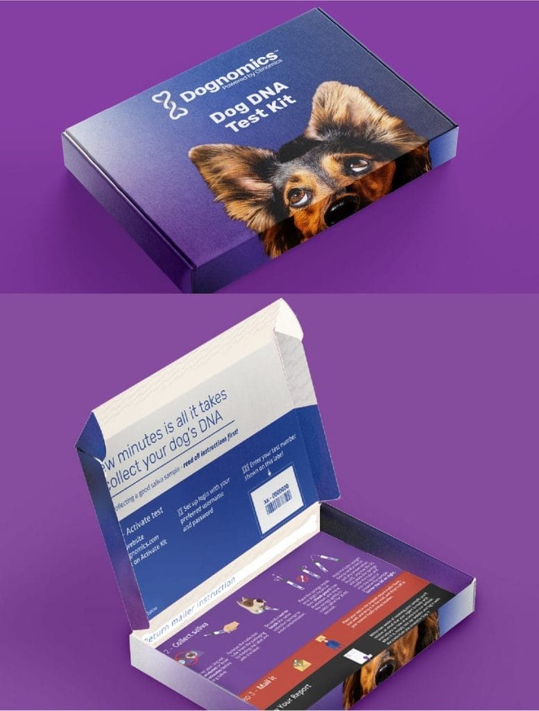 Inspiring Brand Guidelines Examples & How To Build Your Style Guide 8 Dognomics' packaging mockups