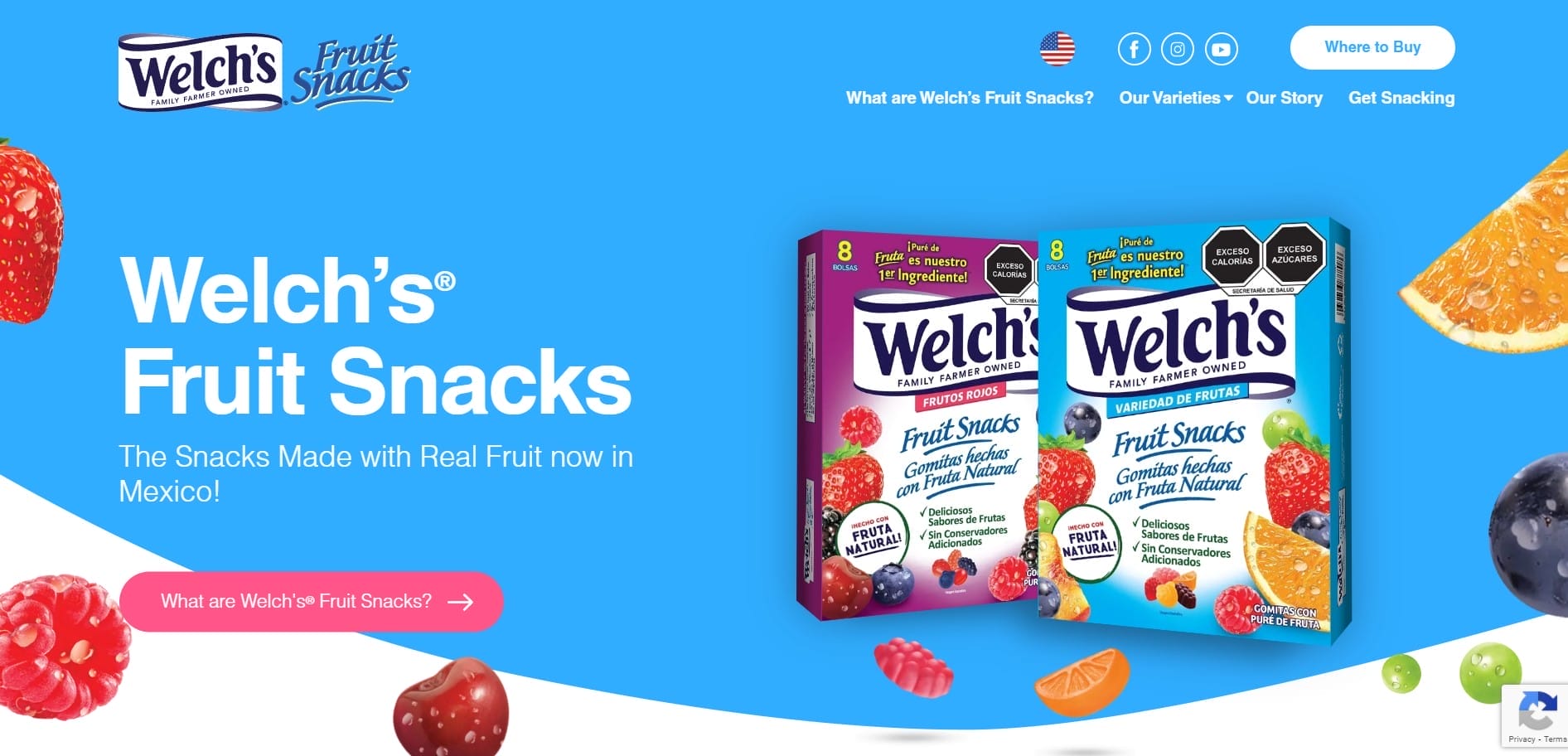 How Much Does A Custom Website Design Cost In 2025? 1 Welch's Fruit Snacks website screenshot