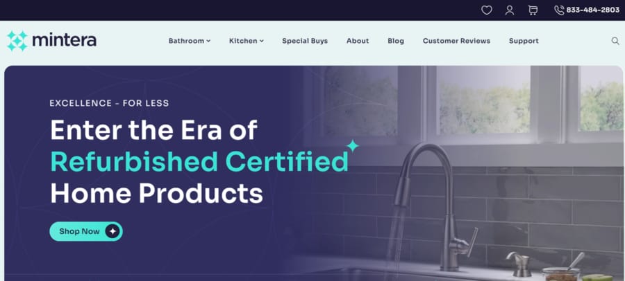 Digitally Native Vertical Brands (DNVBs): A Comprehensive Guide 11 Mintera website screenshot