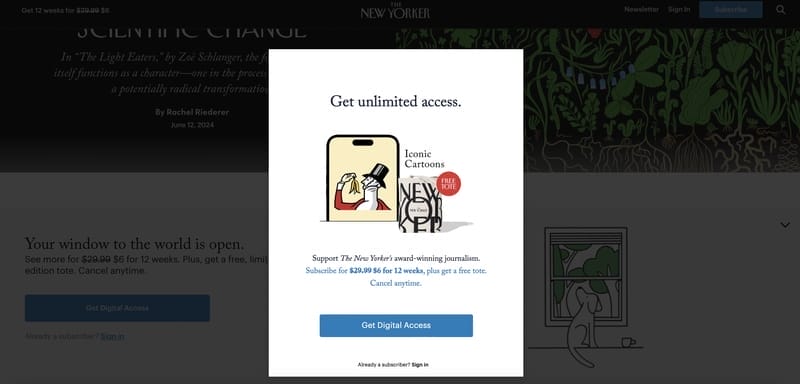 20 Best eCommerce Growth Strategies For 2025 7 ecommerce growth strategy new yorker