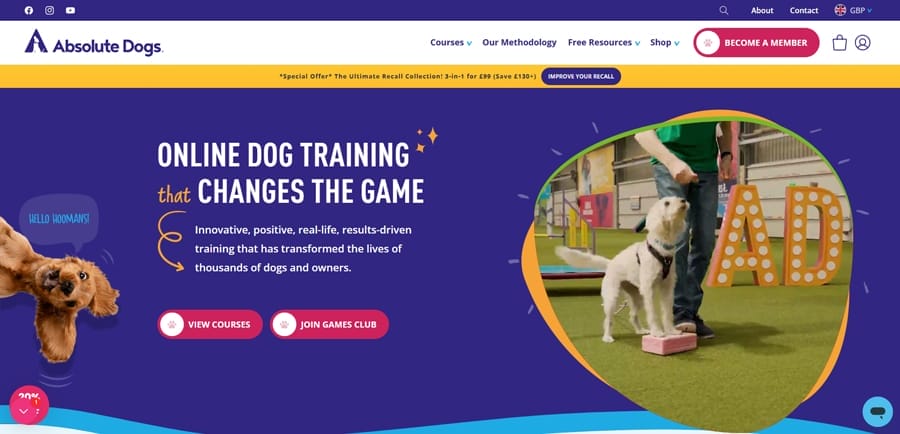 Top eCommerce Platform Stats In California: Usage, Profit & Trends 1 Absolute Dogs website screenshot