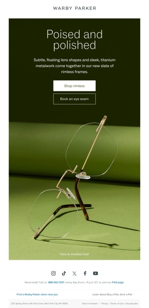 Top 13 Email Marketing Mistakes Even Big Brands Make 5 Image showing Warby Parker's email marketing example
