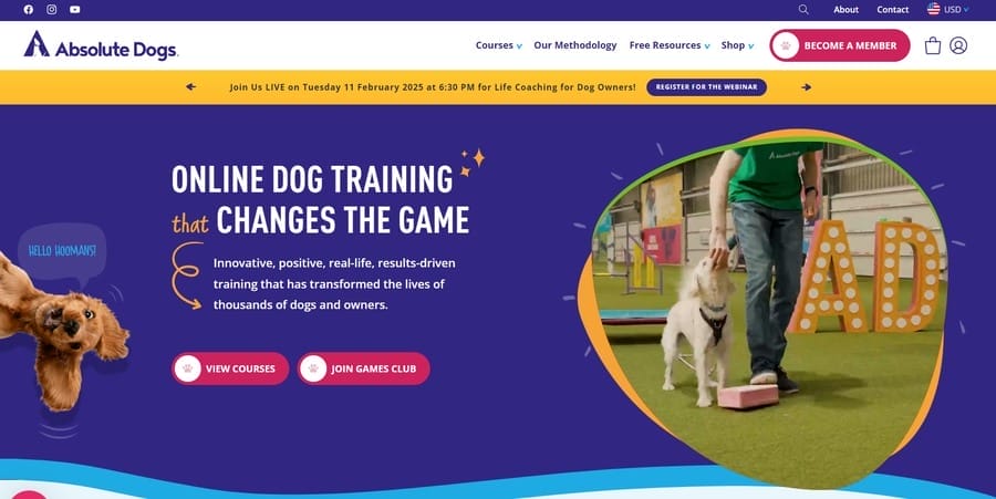 How To Increase Online Sales In 30 Days Through Web Design 14 Absolute Dogs website screenshot