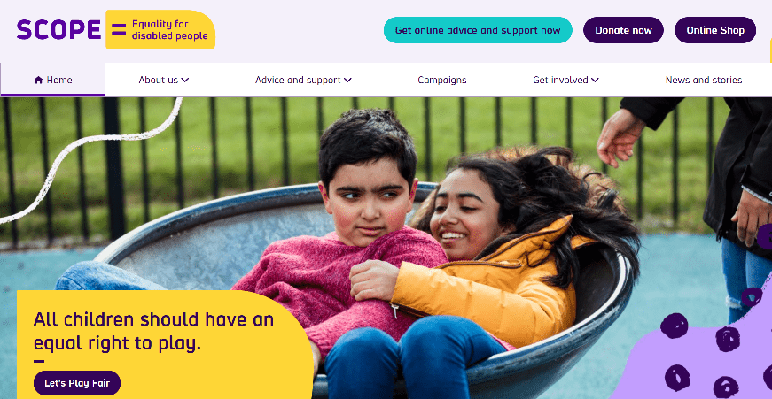 How To Make A Website ADA Compliant: A Complete Guide 2 Screenshot from Scope's website