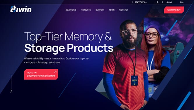 Biwin website screenshot