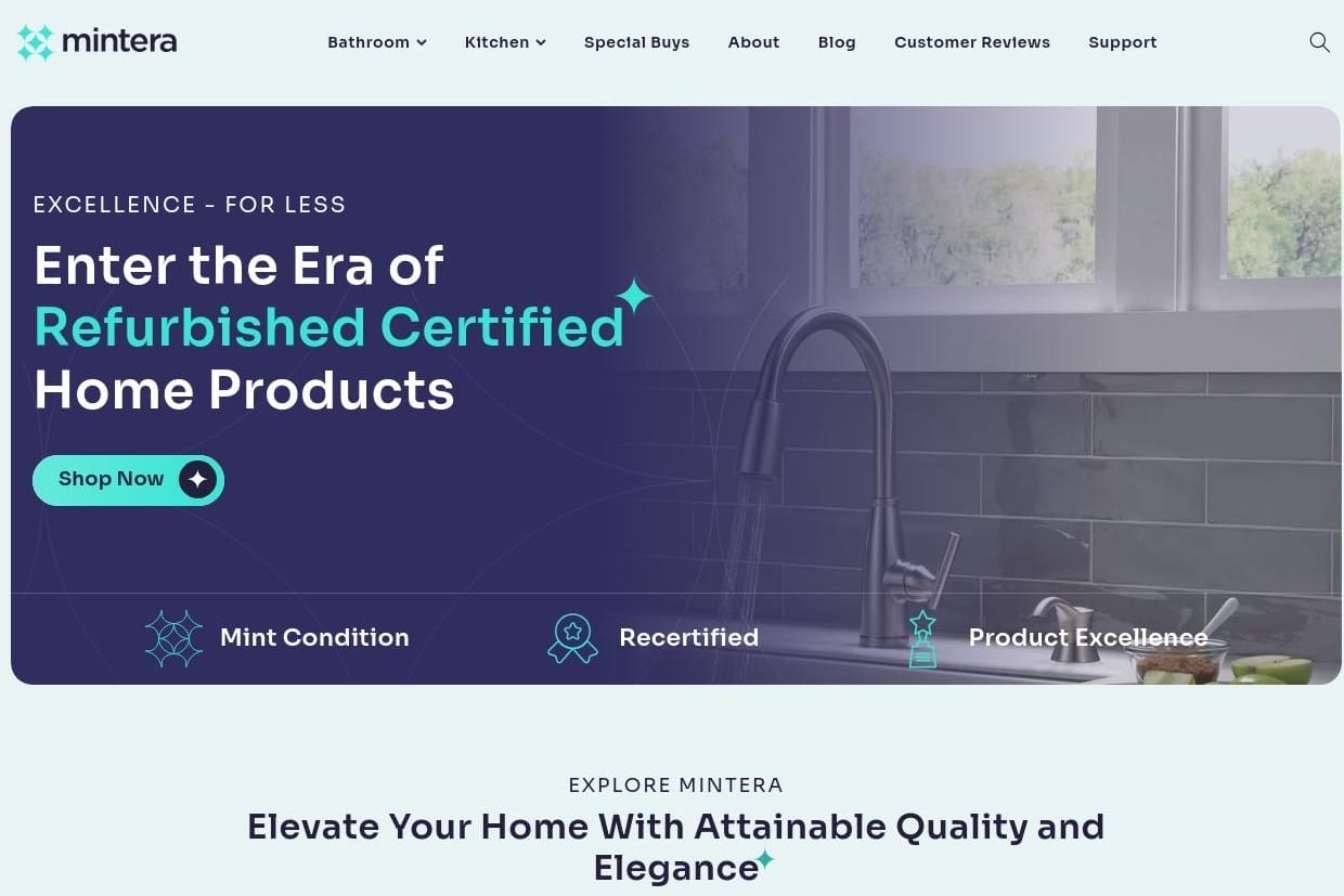 Emotional Branding 101: Everything You Need To Know 6 Mintera Website Screenshot