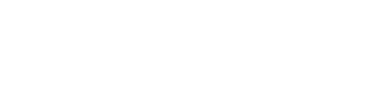National Aviation white logo