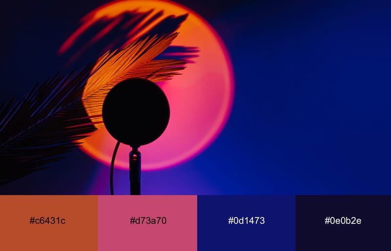 These Are The 20 Best Neon Color Palettes For Impressive Designs 12 A palm tree leaf illuminated with neon orange