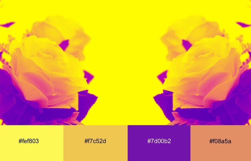These Are The 20 Best Neon Color Palettes For Impressive Designs 16 Neon yellow flowers with peach and purple details