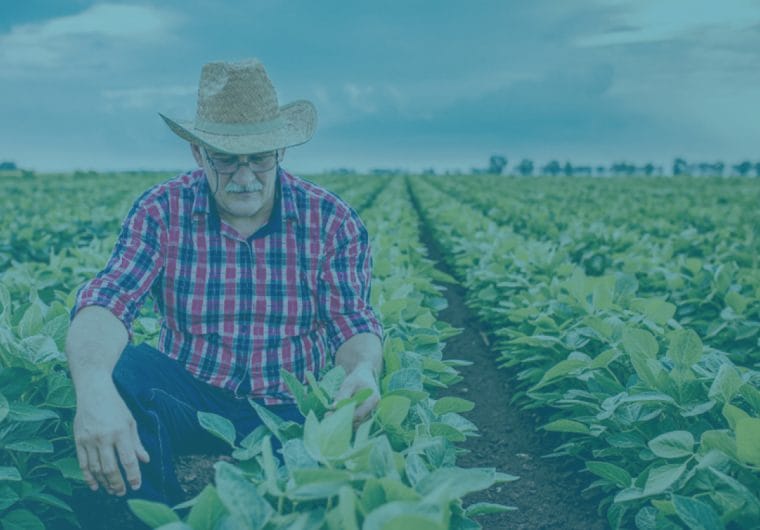 Farmer inspecting crops in a field under a cloudy sky