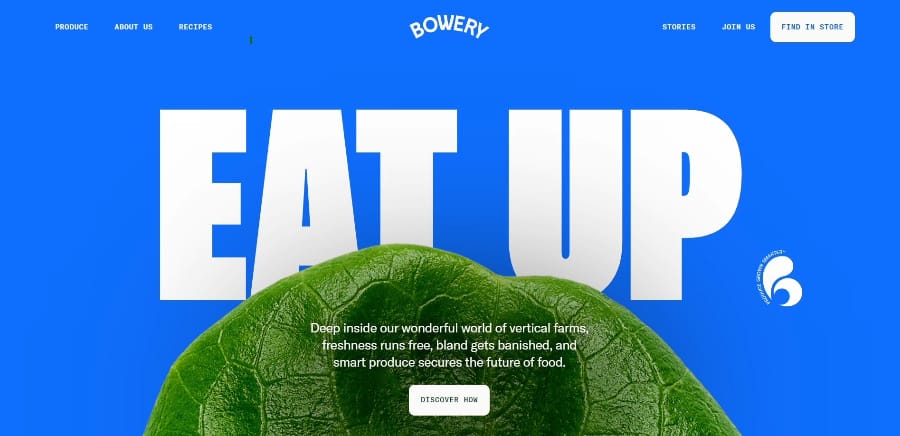10 Best Small Business Websites In 2024 1 small business websites bowery