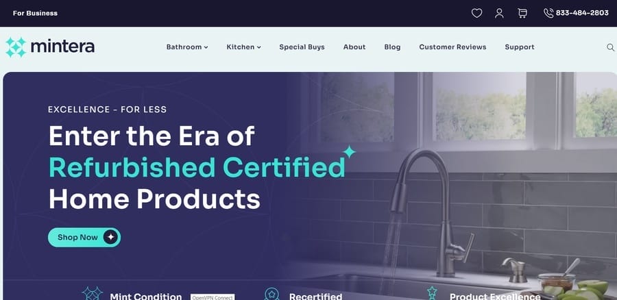 Visual Brand Language: 5 Crucial Elements & Examples 11 Mintera website screenshot