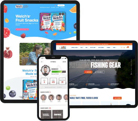 Various Web App Development Projects