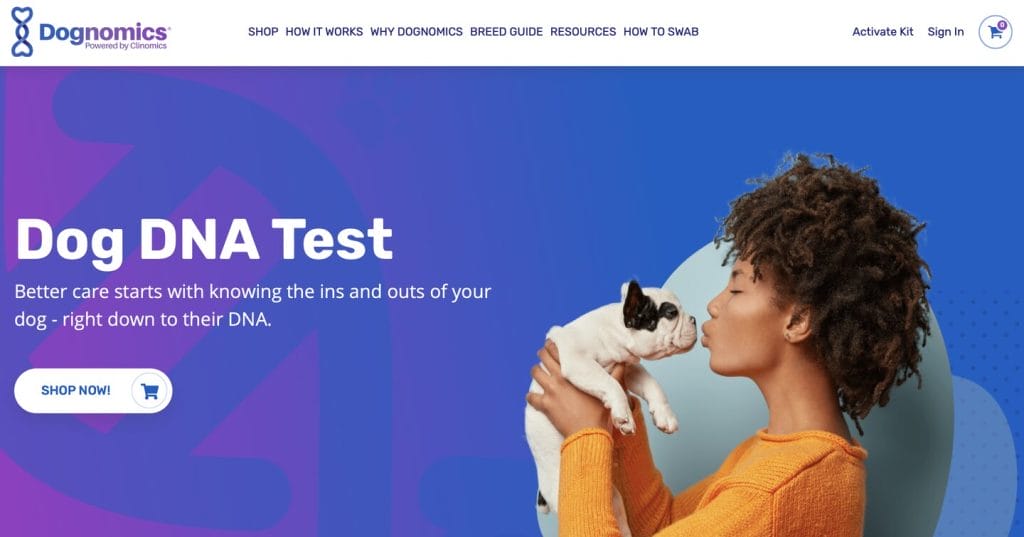 Top 10 Web Design Mistakes To Avoid In 2025 10 Dognomics homepage