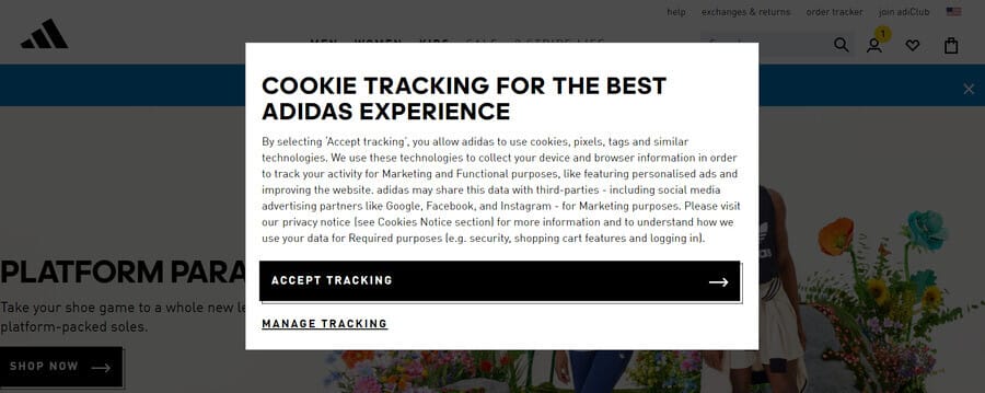 Web Development Terms: 50 Must-Know Phrases For Beginners 3 Adidas cookies pop-up notification