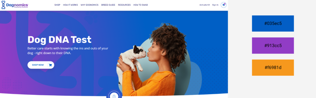 Complete Guide To Website Color Schemes: Psychology & Examples 47 An example of a website with bright colors combination