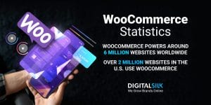 Top 30 WooCommerce Statistics You Should Know image