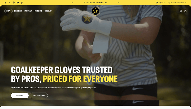 Sports & Entertainment Web Design 26 Gold Star Goalkeeping website screenshot