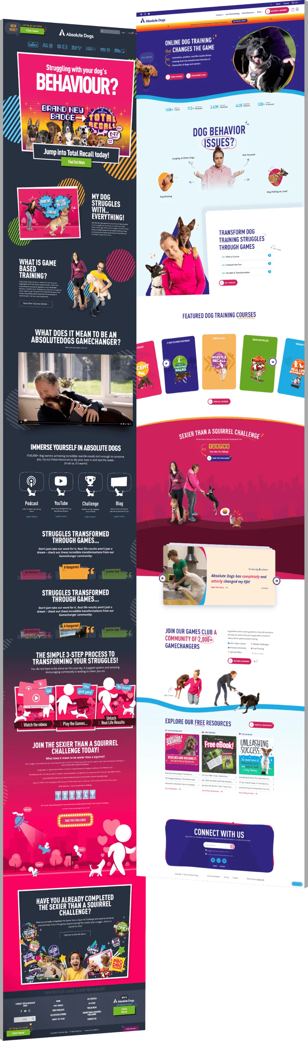 Image showing the before and after of Absolute Dogs' website design - optimized