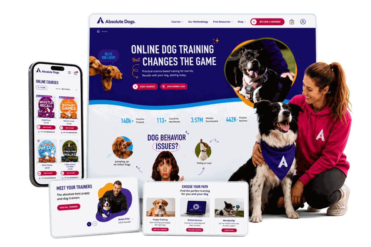 Absolute Dogs Case Studies new module